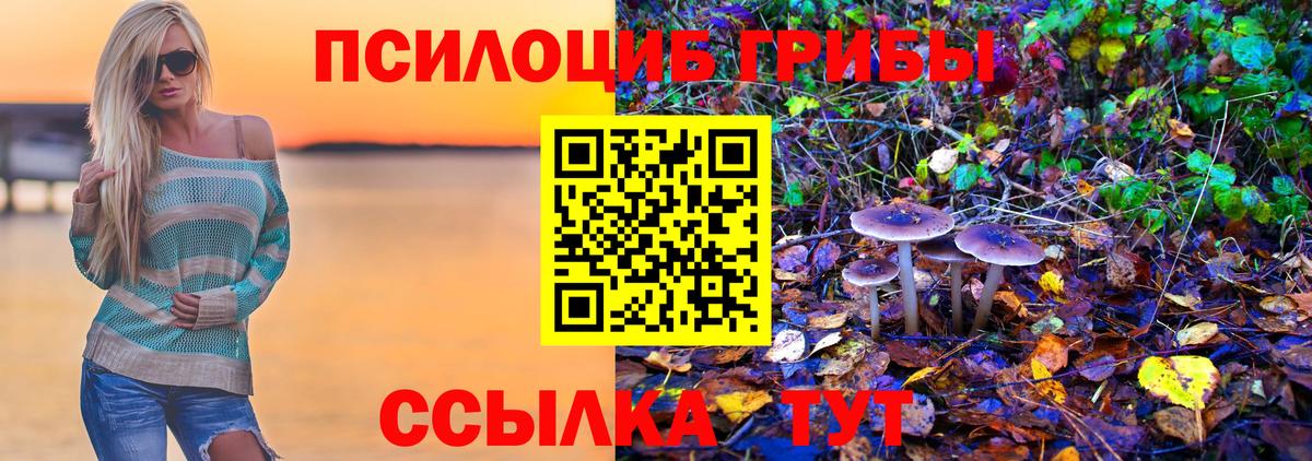 Псилоцибиновые грибы мицелий  Вход с VPN  Сатка 